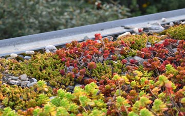 the cost of Whisby green roof installation