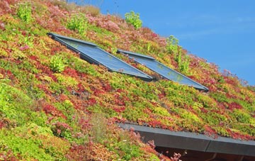 Whisby living roof systems
